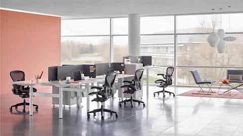 A benching arrangement with black Aeron office chairs and back-to-back Atlas Office Landscape desks separated by grey screens.