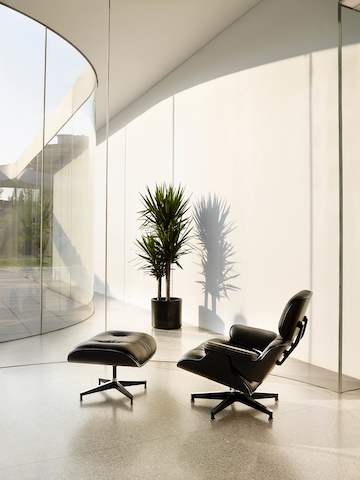 Oblique view of a black leather Eames Lounge Chair and Ottoman with a black shell, positioned near a glass wall.
