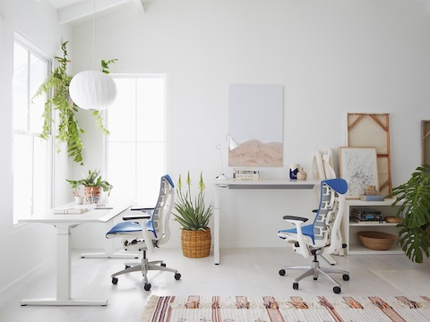 A bright office featuring a hanging Nelson Bubble Pendant lamp, two sit-to-stand desks, and two blue Embody office chairs.