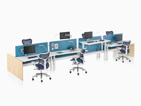 A Renew Link standing desk system with white work surfaces, blue fabric divider panel, and blue Mirra 2 office chairs. One of the eight desks is raised to standing height. 