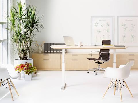 An office featuring an oval Renew Sit-to-Stand Table, black Eames Aluminum Group Chair, and white Eames Molded Plastic Armchair.