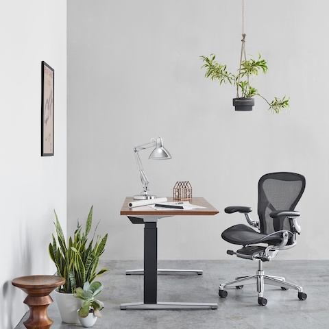 An office featuring a rectangular Renew Sit-to-Stand Table with a black C-leg and polished aluminum feet, an Aeron Chair, and an Eames Walnut Stool.