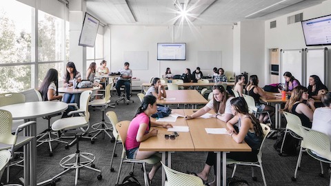 Groups of students sit in Caper chairs while studying in a university building. 