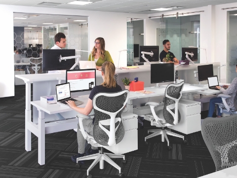 Office employees work and talk among both sitting and standing workstations. 