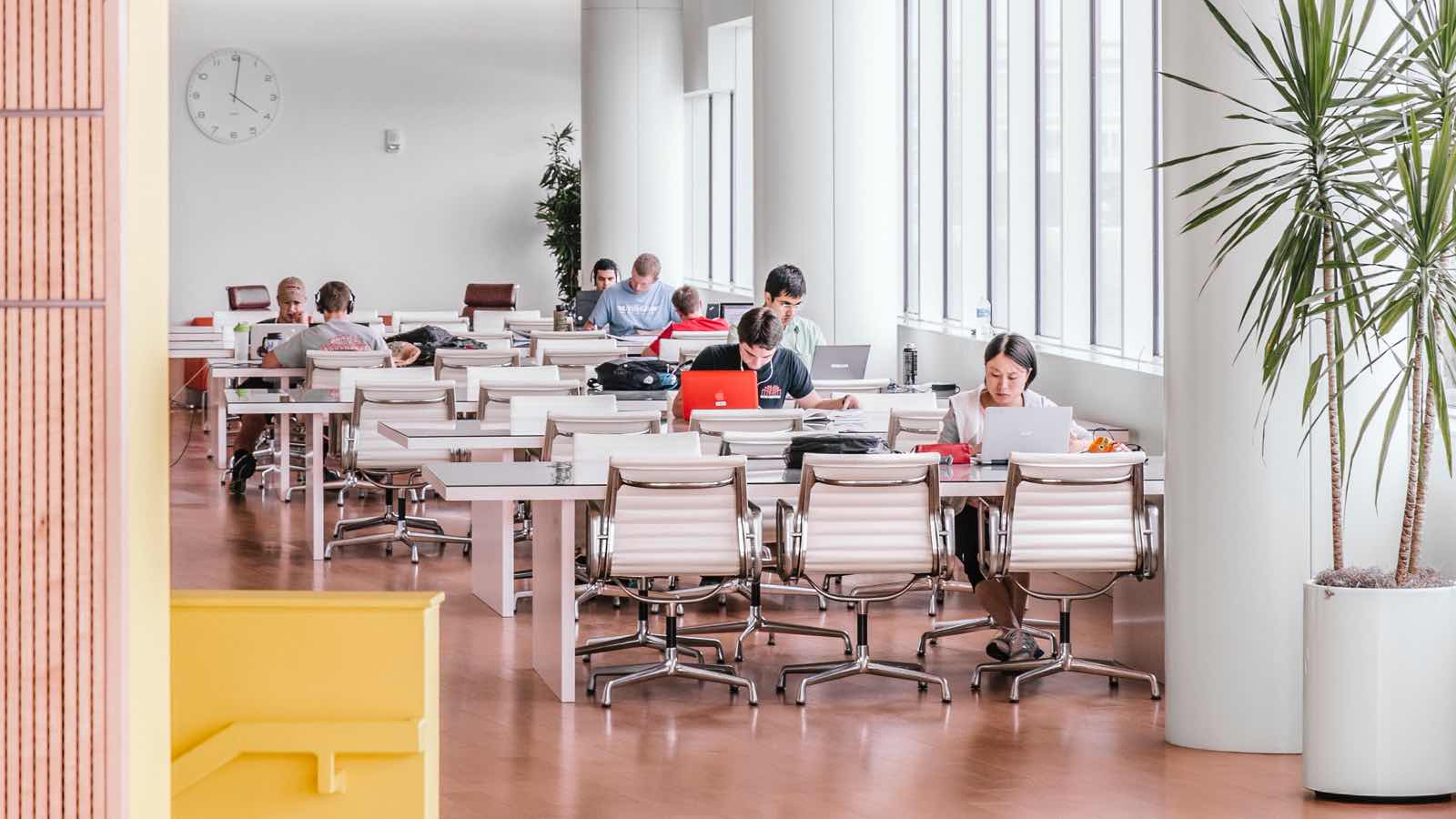Rows of minimal white tables with white leather Eames Aluminum Group chairs in an open concept room with tall windows. Men and women sit on their own with laptops and other studying materials. 