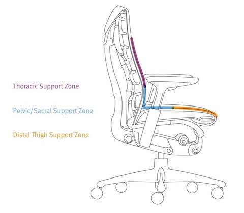 The three main zones supported by the Embody Chair. 