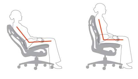 A graphic showing how the Embody Chair keeps the thighs horizontal, with continuous thoracic region support.