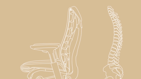 An illustration shows the curve of the spine in relation to the design of the Embody Chair. 