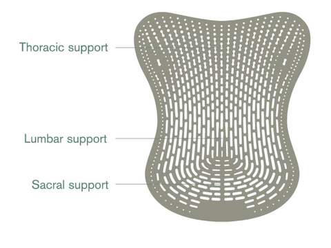 A diagram displaying how the Mirra chair supports three different back areas. 
