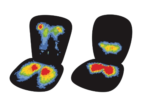 Thermal images revealing two different sets of pressure areas in a chair. 