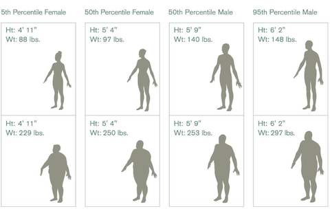 A chart showing a wide range of male and female body types. 