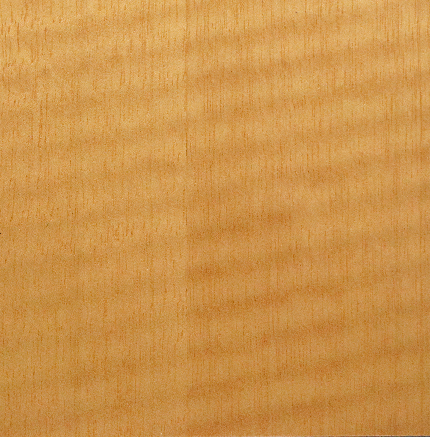 Natural Anigre Geiger Wood & Veneer Geiger Wood & Veneers
