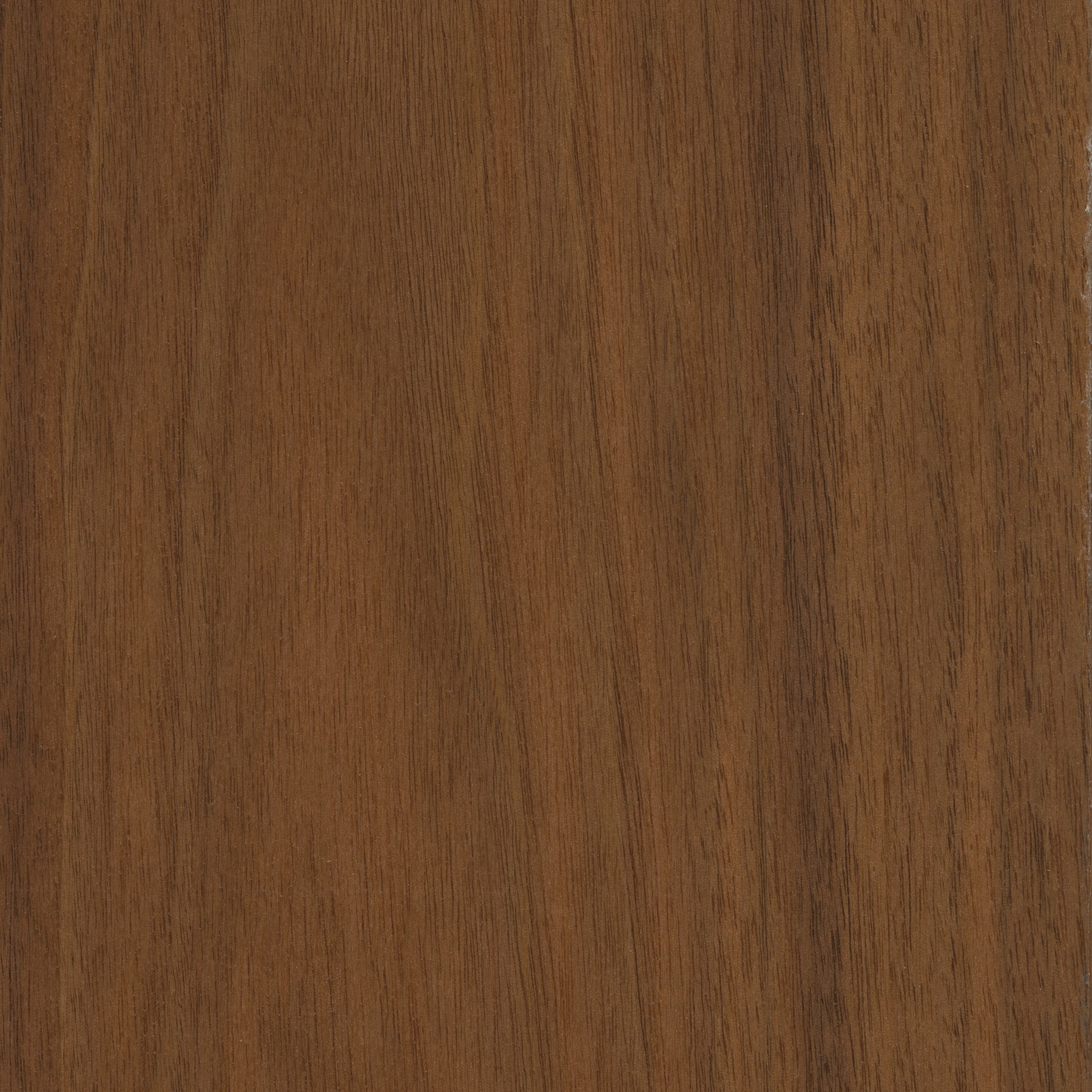 Oxford Walnut (Central Palette), 012