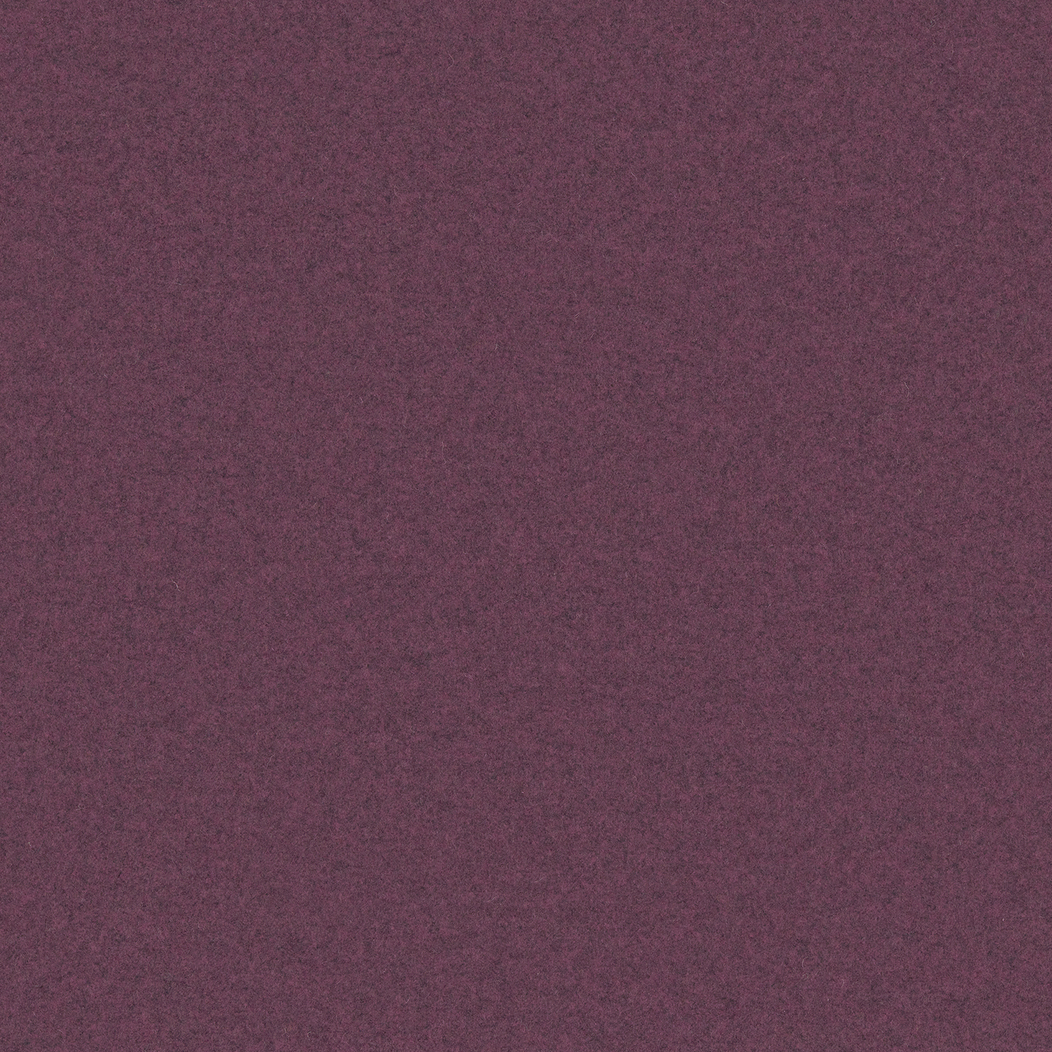Compote Reverse, ZGF80