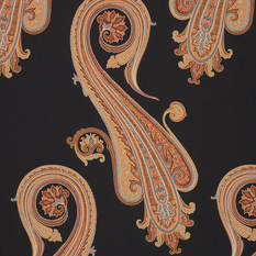 Massive Paisley Night