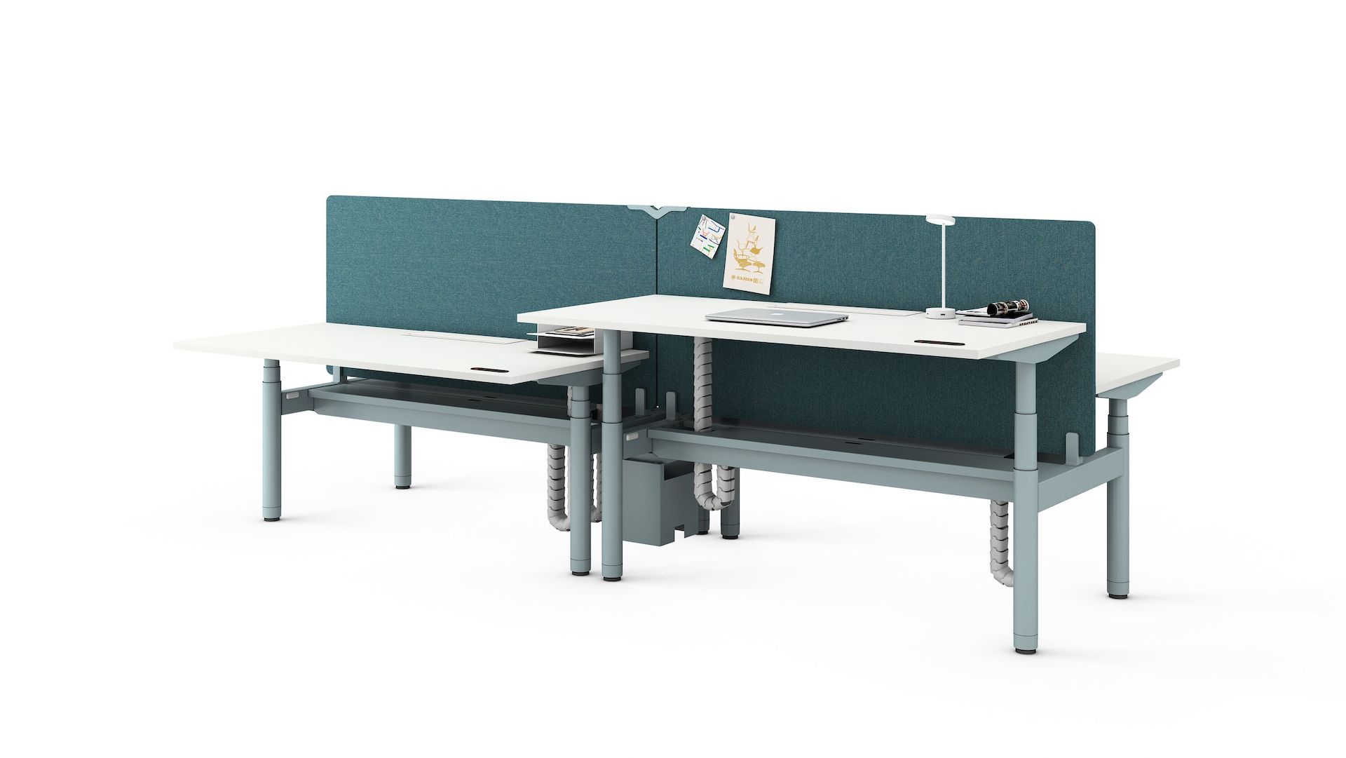 Cluster of 4 back to back Ratio height-adjustable desks, with back to back shared screens, and accessories on a white sweep