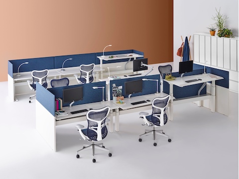 Two rows of Renew Link benching configurations with desks positioned at different heights, dark blue privacy screens, and dark blue Mirra 2 Chairs.