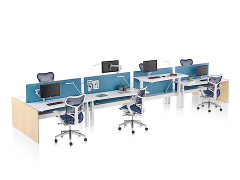 A row of Renew Link workstations, positioned back to back, with blue privacy screens, height-adjustable desks, and blue Mirra 2 Chairs.