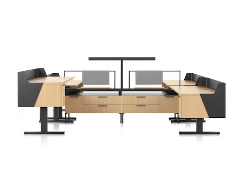 Brown and black Canvas Vista workstations with Motia sit-to-stand desks, modesty and privacy screens and t-shaped light.