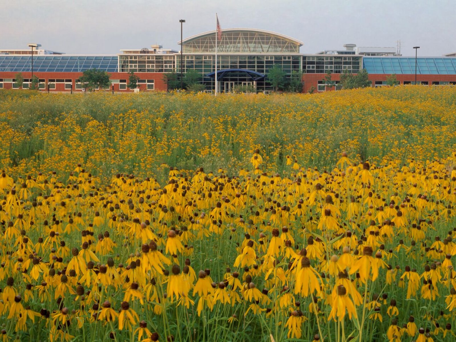 GreenHouse de Herman Miller ubicado en Holland, Michigan