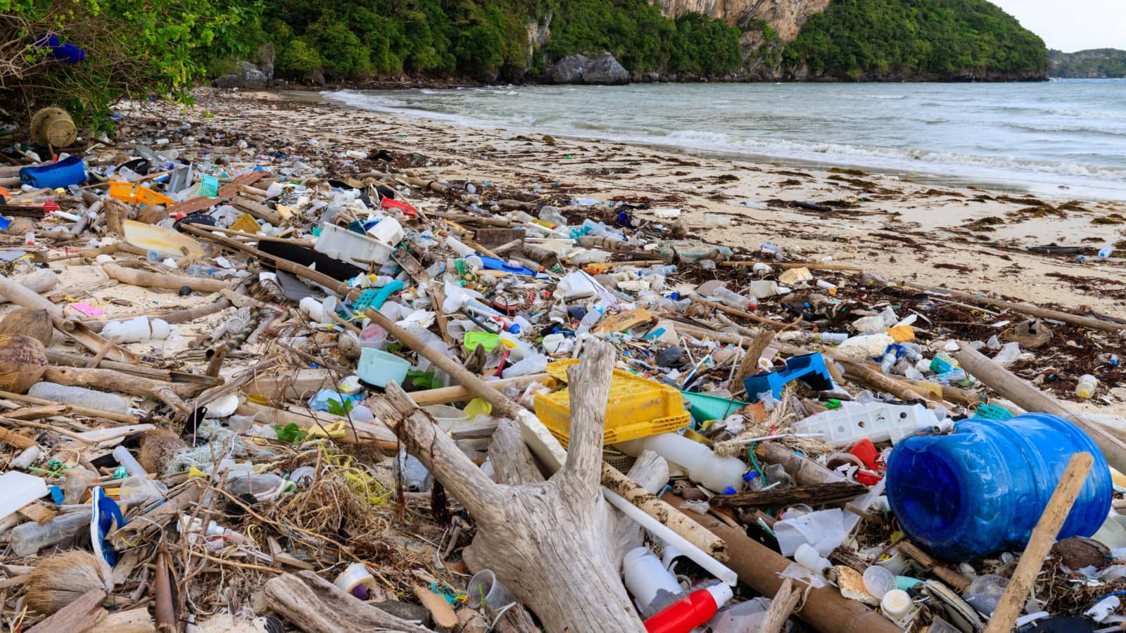 A beach littered with plastic waste.