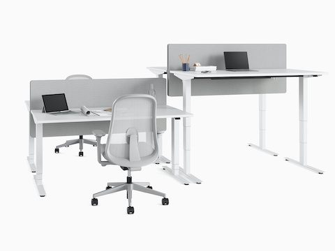 Four Nevi Sit-Stand Desks positioned back to back at seating and standing heights. A pair of Lino Chairs are alongside.