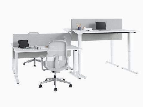 Four Nevi Sit-Stand Desks positioned back to back at seating and standing heights. A pair of Lino Chairs are alongside. Four Nevi Sit-Stand Desks positioned back to back at seating and standing heights. A pair of Lino Chairs are alongside.