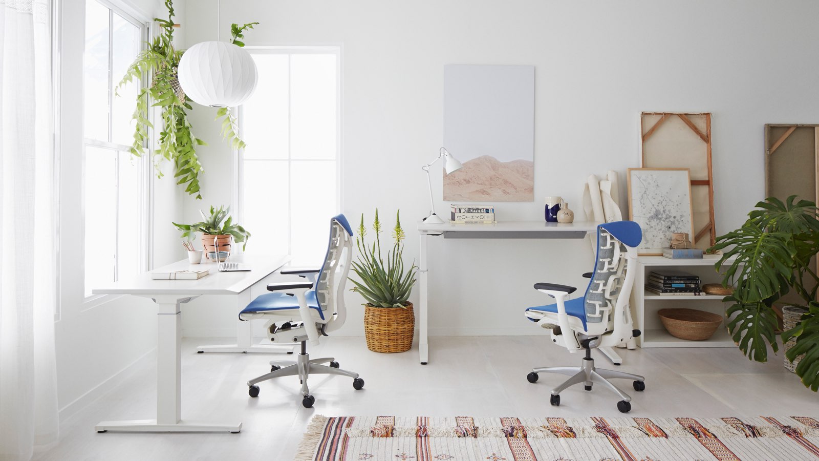 A small office with white walls, hanging plants, and two Embody ergonomic desk chairs with blue upholstery and white frames at sit-to-stand desks.