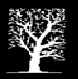 A black-and-white tree symbol used as a Nemschoff logomark.