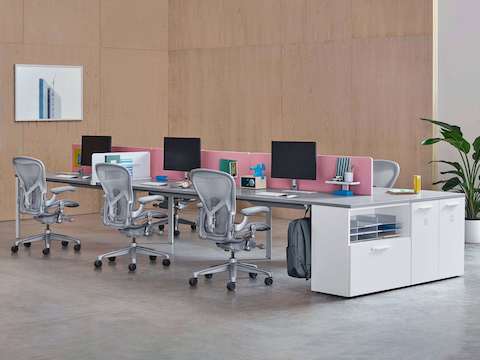 Light gray Aeron office chairs complement a back-to-back benching setup divided by pink privacy screens.