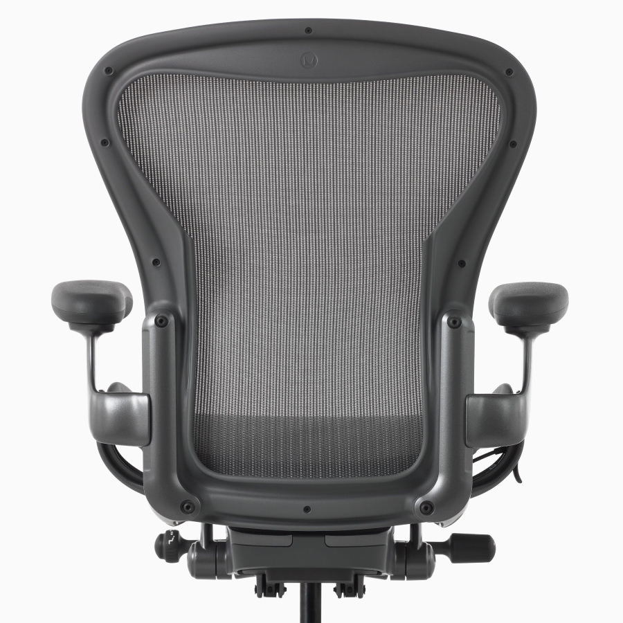 A back view of an Aeron Chair with no additional support.