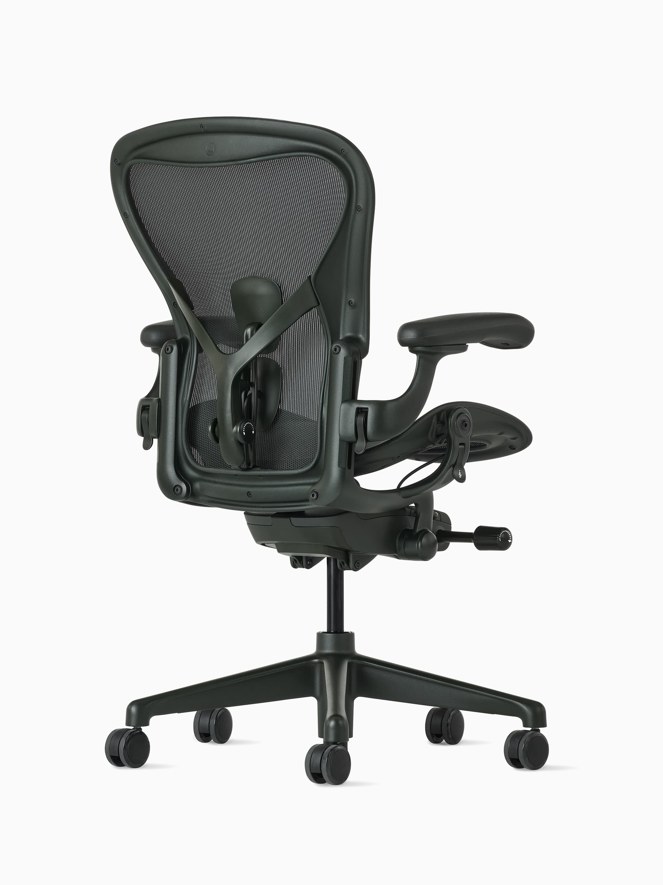 Aeron Chair - Vista 5