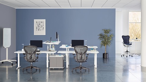 Een samenwerkingsgebied met witte, in hoogte verstelbare Atlas Office Landscape-bureaus en zwarte Aeron-bureaustoelen.