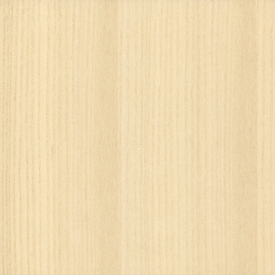 A swatch of light ash veneer. 