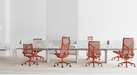 Una varietà di sedie a schienale basso, schienale medio e schienale alto in Canyon rosso su una serie di workstation da tavolo con schermi di illuminazione e privacy personali.