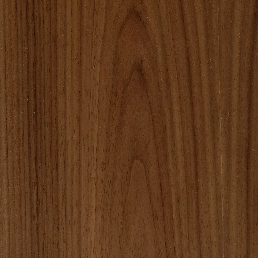 A swatch of Walnut veneer.
