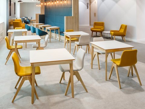 Een lichte café- of cafeteriaruimte vol met witte NaughtOne Dalby-cafétafels gerangschikt met roomkleurige en gouden Viv Wood-stoelen en blauwe Always-bijzetstoelen.