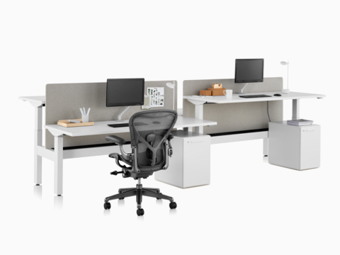 A Nevi Link standing desk system with a black Aeron office chair, privacy screens, monitors, and rectangular work surfaces. Two of the four desks are raised to standing height. 