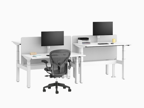Configurazione di quattro scrivanie Nevi Link Sit Stand bianche con schermi divisori in tessuto grigio sollevate per il lavoro in piedi, bracci porta monitor Lima e una seduta Aeron.