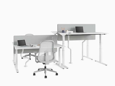 Four Nevi Sit-Stand Desks positioned back to back at seating and standing heights. A pair of Lino Chairs are alongside.