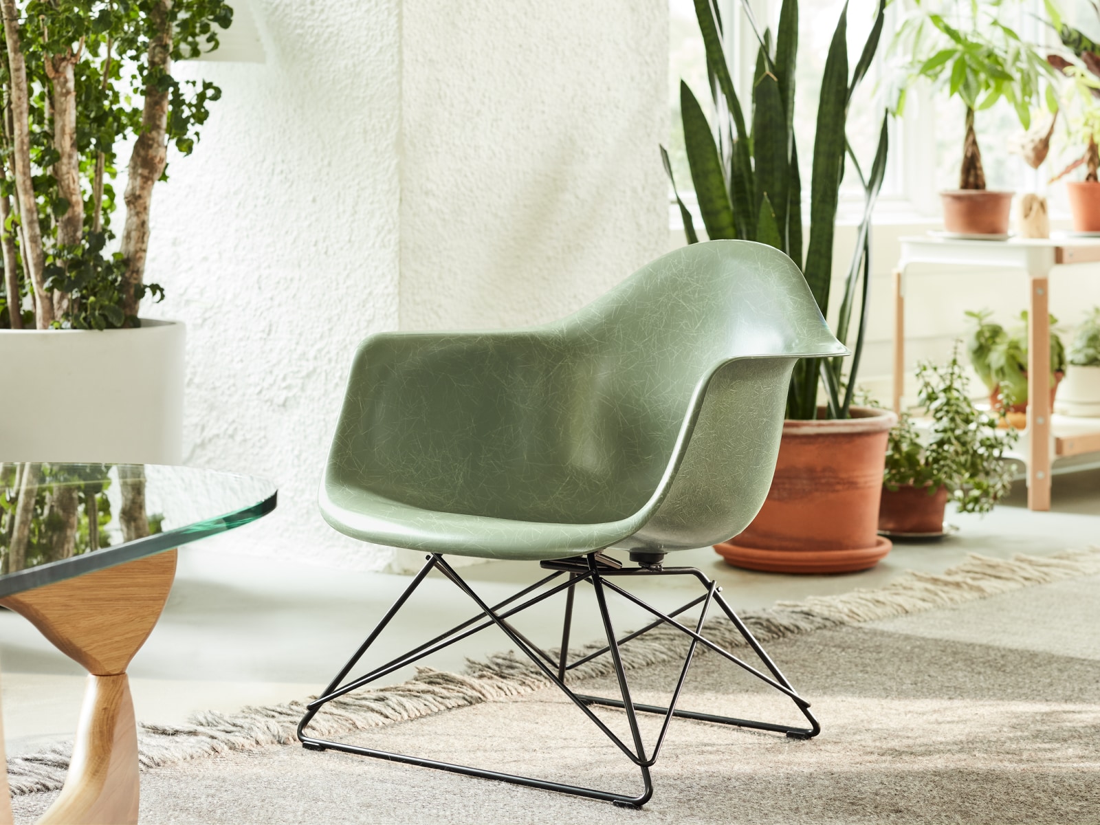 Eames 成型玻璃纤维扶手椅的特写图，配有低钢丝底座，摆放在休闲生活环境中，靠近 Noguchi 桌子。