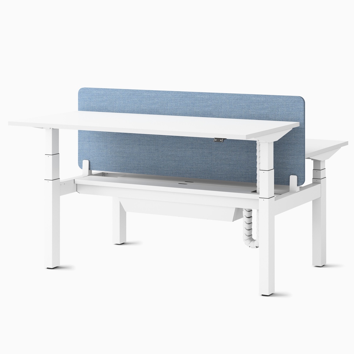 Two Ratio height-adjustable desks, positioned at seating and standing heights, back-to-back with a frameless, blue mounted privacy screen and an open-hinged cable tray.