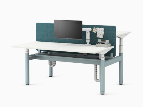 Back to back Ratio height-adjustable desks positioned at seating and standing heights, with back to back shared privacy screen on a white sweep.
