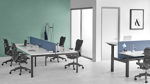 A cluster of four workpoints using back-to-back Ratio height-adjustable desks separated by blue privacy screens.