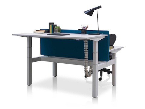 Back-to-back Ratio adjustable desks positioned at standing and seated heights and separated by a blue privacy screen.