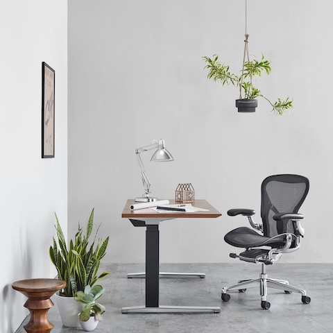 An office featuring a rectangular Renew Sit-to-Stand Table with a black C-leg and polished aluminum feet, an Aeron Chair, and an Eames Walnut Stool. An office featuring a rectangular Renew Sit-to-Stand Table with a black C-leg and polished aluminum feet, an Aeron Chair, and an Eames Walnut Stool.