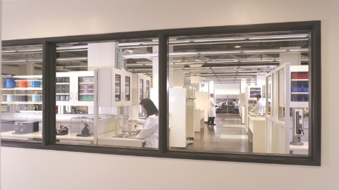 A healthcare lab, seen through a glass wall. Select to go to a case study about the showcase lab at Edwards Lifesciences. 