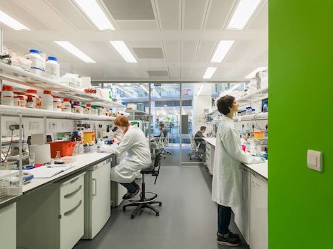 Laboratoire scientifique avec un espace bureau en arrière-plan. Laboratoire scientifique avec un espace bureau en arrière-plan.