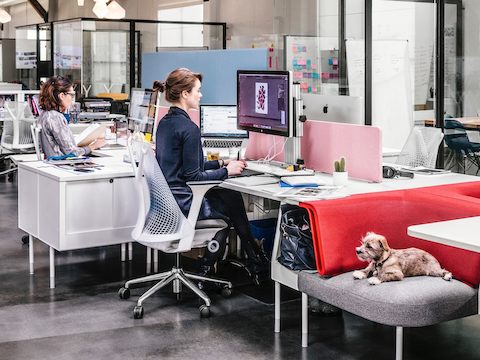 Two people sit at their workstations, as a small dog sits nearby in a chair. 