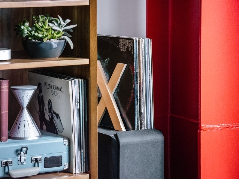 A shelf setup with vintage records and potted succulents. 